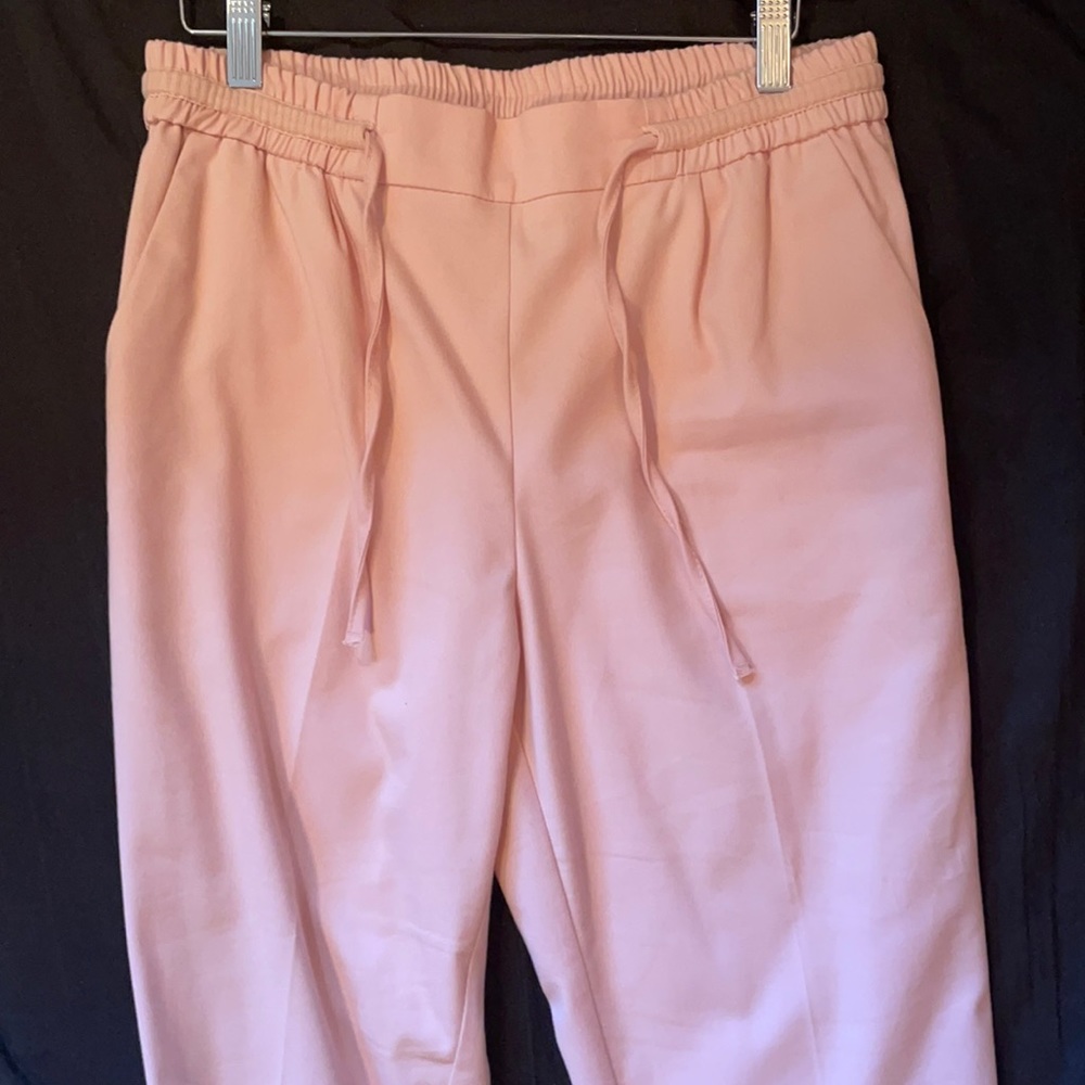 Zara Pants